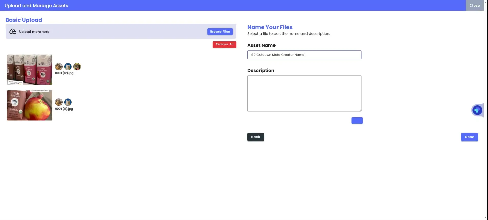 The user is in the process of naming and describing an uploaded asset within the "Upload and Manage Assets" section of the platform.
